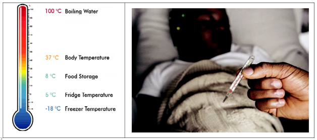 Chapter 5: Temperature and Thermometers