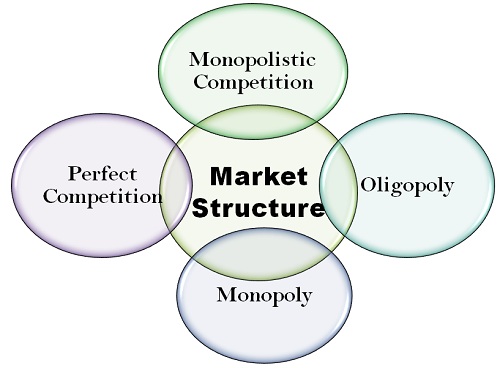 Production Theory and Market Structures