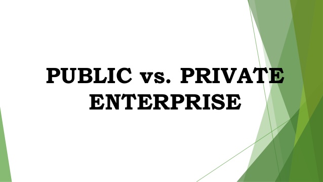 Public and Private Enterprises
